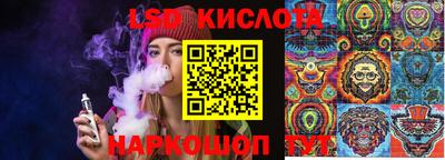 apvp Тулун