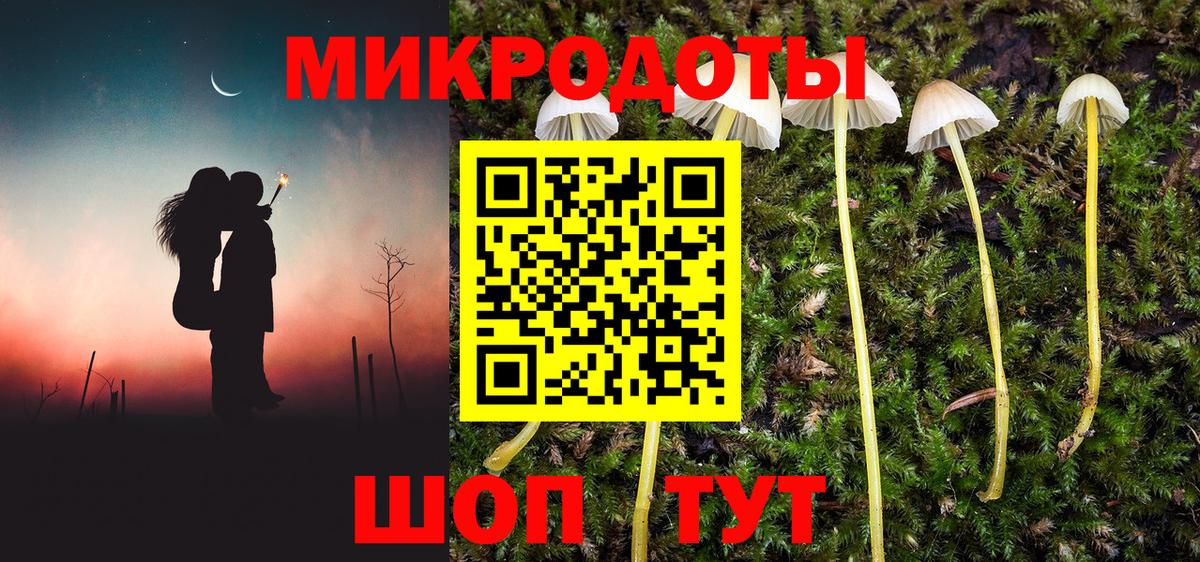 Псилоцибиновые грибы Cubensis Ачинск